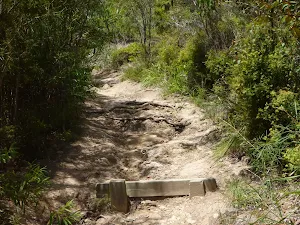 Steps and track on the coastal walk in the Wallarah Pennisula
