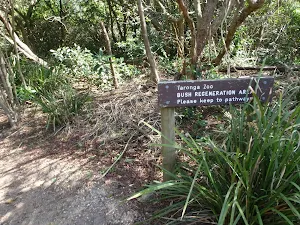 Sign above Camp Curlew