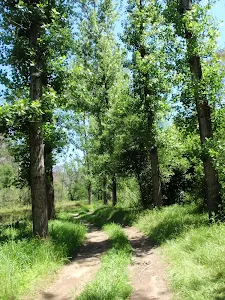 Old Ten Mile Hollow Rd