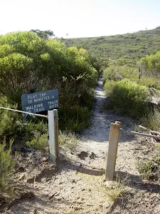 Start of Flat Top Track