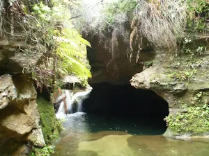 Nayook Creek