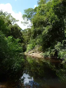 The Lane Cove River near Avondale Creek