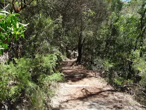 Prince Henry Cliff Walk