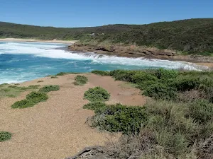 View from Snapper Point