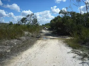 Elvina Track near intersection with top of Fredricks track