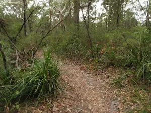 Mouat walking track