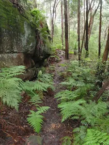 Track up to Blaxland Library car park