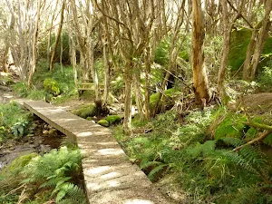 Meadows Nature Track