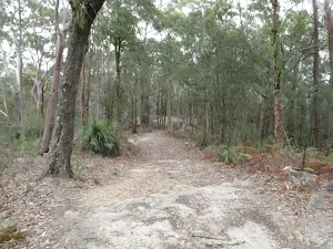 track south of Erina Trig
