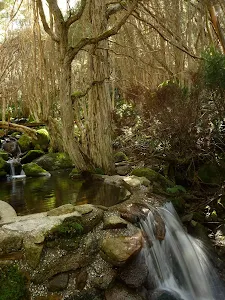 Creek Crossing