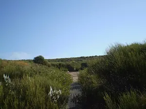 Coast Track