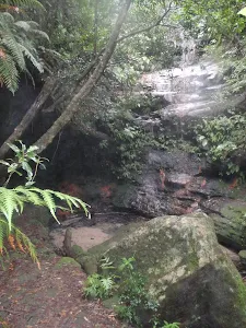 Clarinda Falls from Faulconbridge