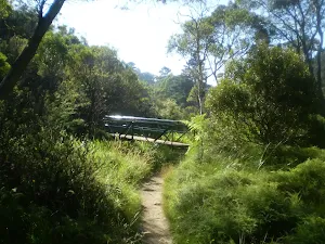 The pipeline that the track goes under