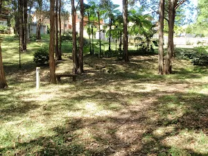 Near the houses