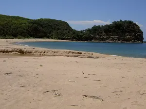 Maitland Bay Track