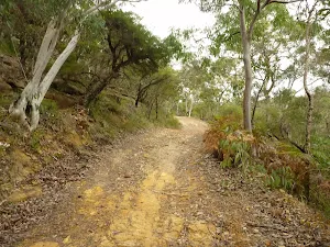 Tunks Ridge Trail