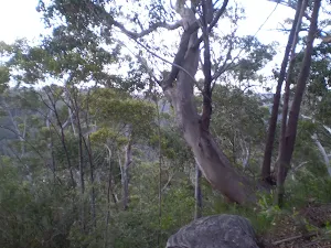 The view from the top of the hill