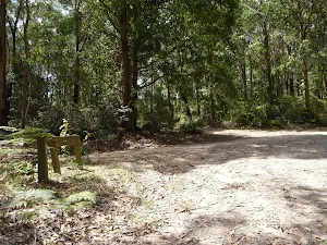 Intersection of Kangaroo Point and Murrays Forest Roads