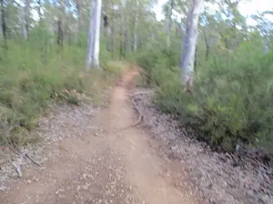 Track to Ironbarks Picnic Area