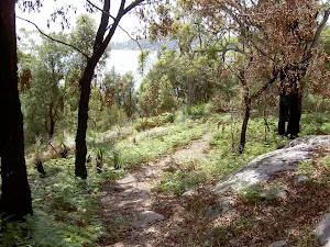 Track down to Mackerel Beach