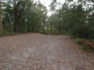 walking through clearing