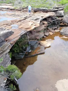 Creek at Curracarrang Cove