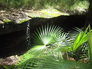 Small waterfall near Garawarra