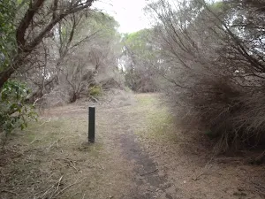 Arrow marker along the track