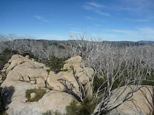 Giants Castle