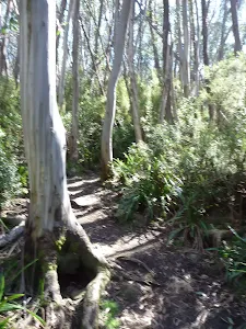 Meadows Nature Track
