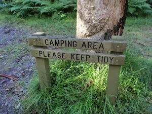 Mooney Mooney Creek Campsite (north)