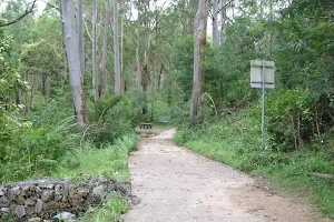 Browns Waterhole Track