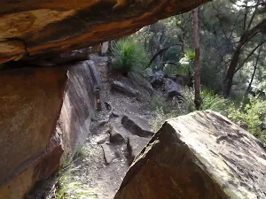 Hornsby to Fishponds