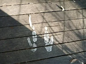 Emu footprints painted on boardwalk at Blackbutt Wildlife Exhibits