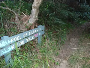 Pool of Siloam sign