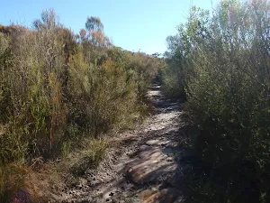 On the Willunga track