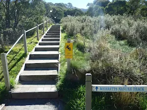 Merrits Nature Track steps at Friday Dr