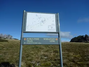 New signposte near the Int of Porcupine Trail and Wheatley Link Track