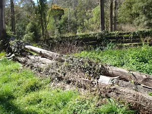 Old Cattle Yard