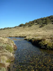 Threbo River near Cascade Trail