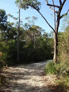 Currie Rd Service trail