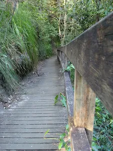 Walkway leading to bottom falls