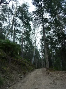 Sublime Point Trail Passing below the Three Sisters