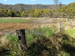 Park Gully wet land