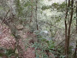 Track down leading down to Glenbrook Creek.