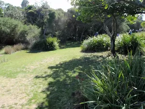 Clearing at northern end of Jibbon Beach