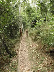 Waterman Walk track