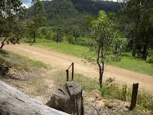 GNW track meets Watagan Creek Road