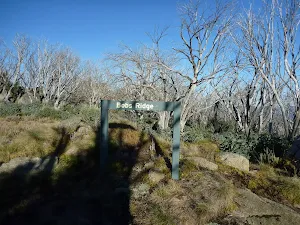 Signpost at Bobs Ridge