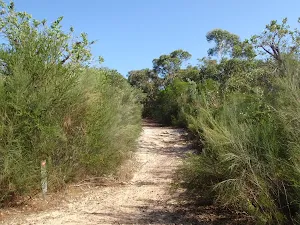 Bluff track